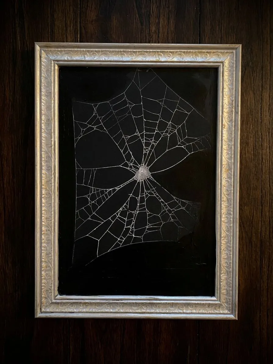 Untitled — acrylic, preserved web, 15 × 11 in, by Natasha Ros.