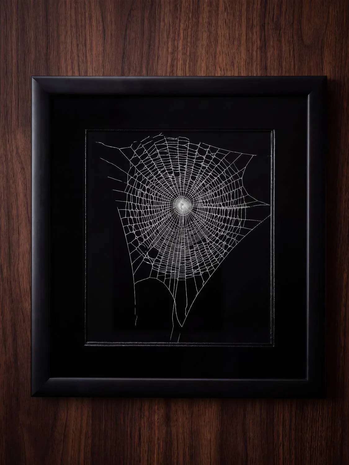 Untitled — spray paint, varnish, preserved web, 13.25 × 14.25 in, by Natasha Ros.